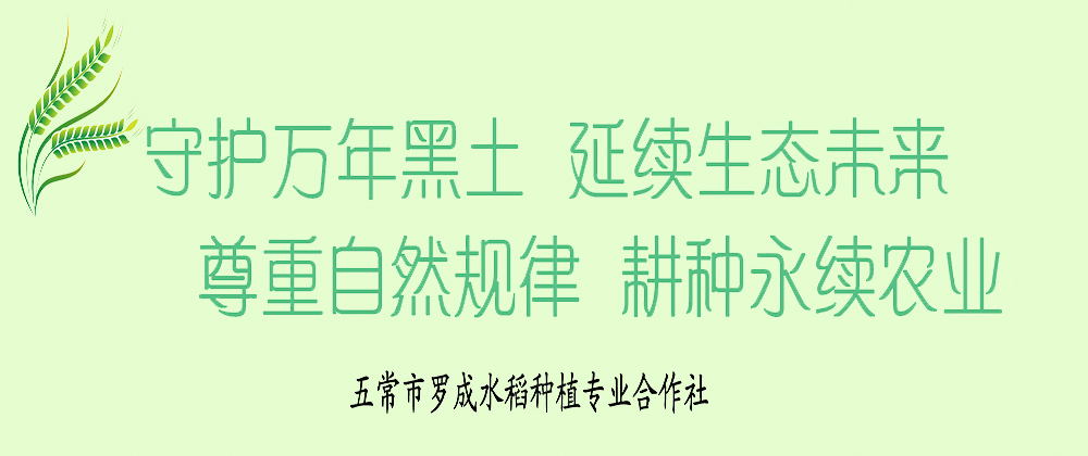 罗成合作社自有原粮稻花香2号种植基地